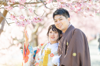 今年も桜が咲き始めました♪＠南伊豆河津桜