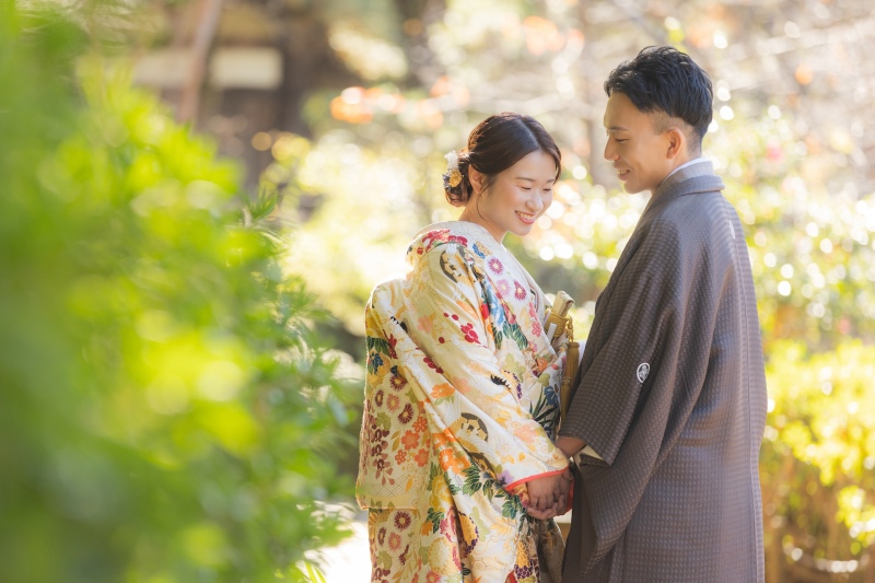 きらきらの木漏れ日