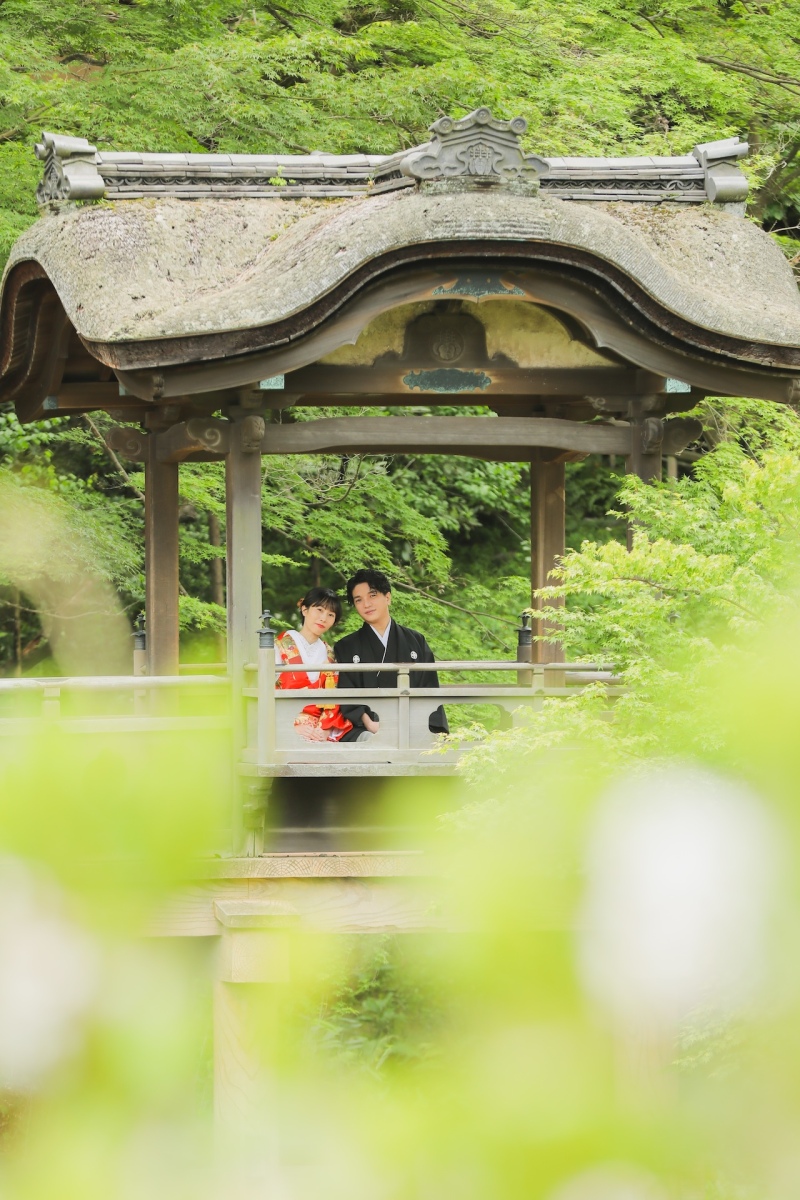 幻想的なフォト