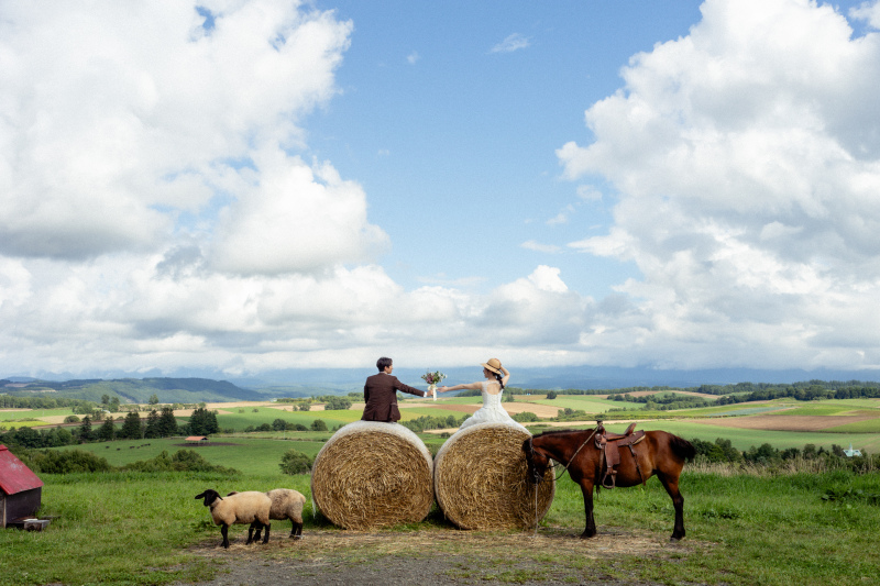 ファームズ千代田 ふれあい牧場