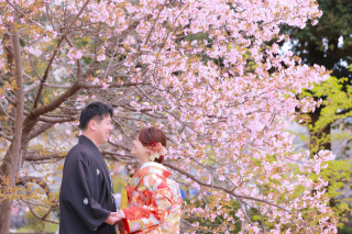 今が見頃の桜と一緒に