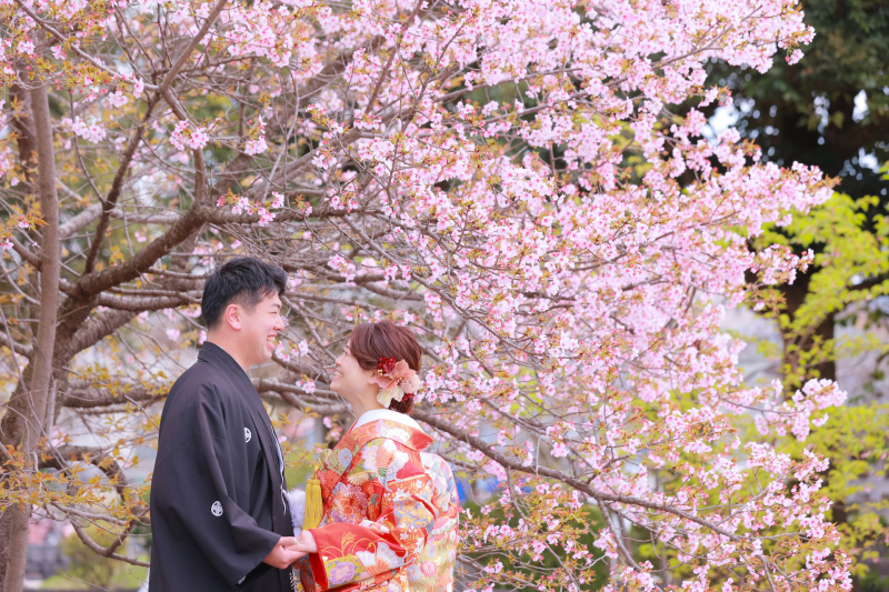 今が見頃の桜と一緒に