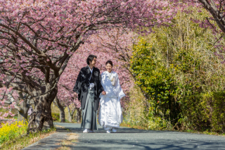 【河津桜】和洋ロケーション　撮影日2022.2.24