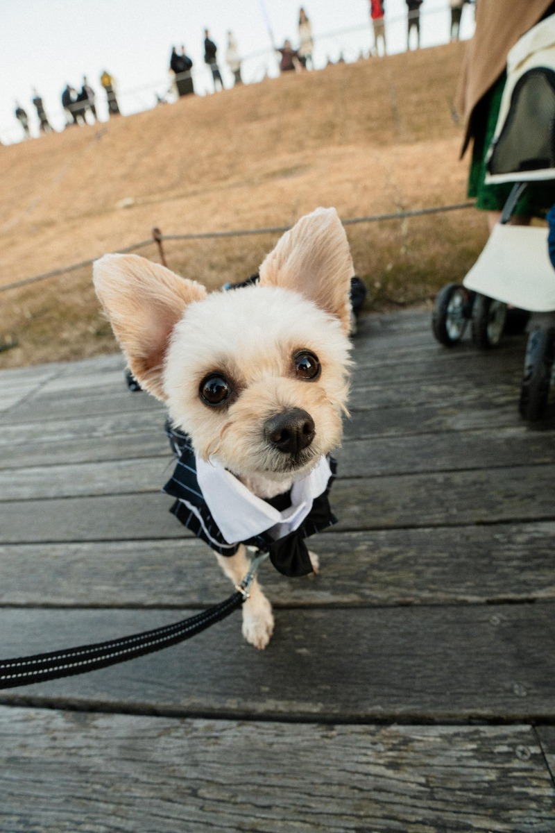 ソロカットも！