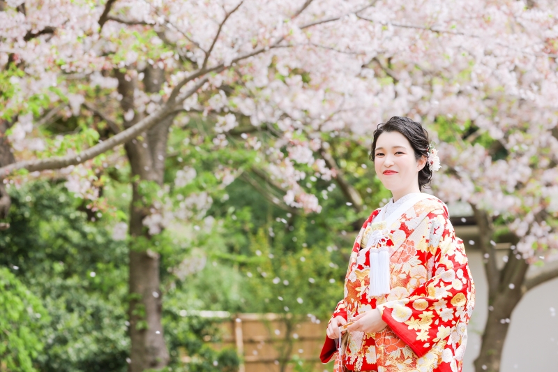 ひらひら舞い散る