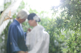 和装撮影なら！