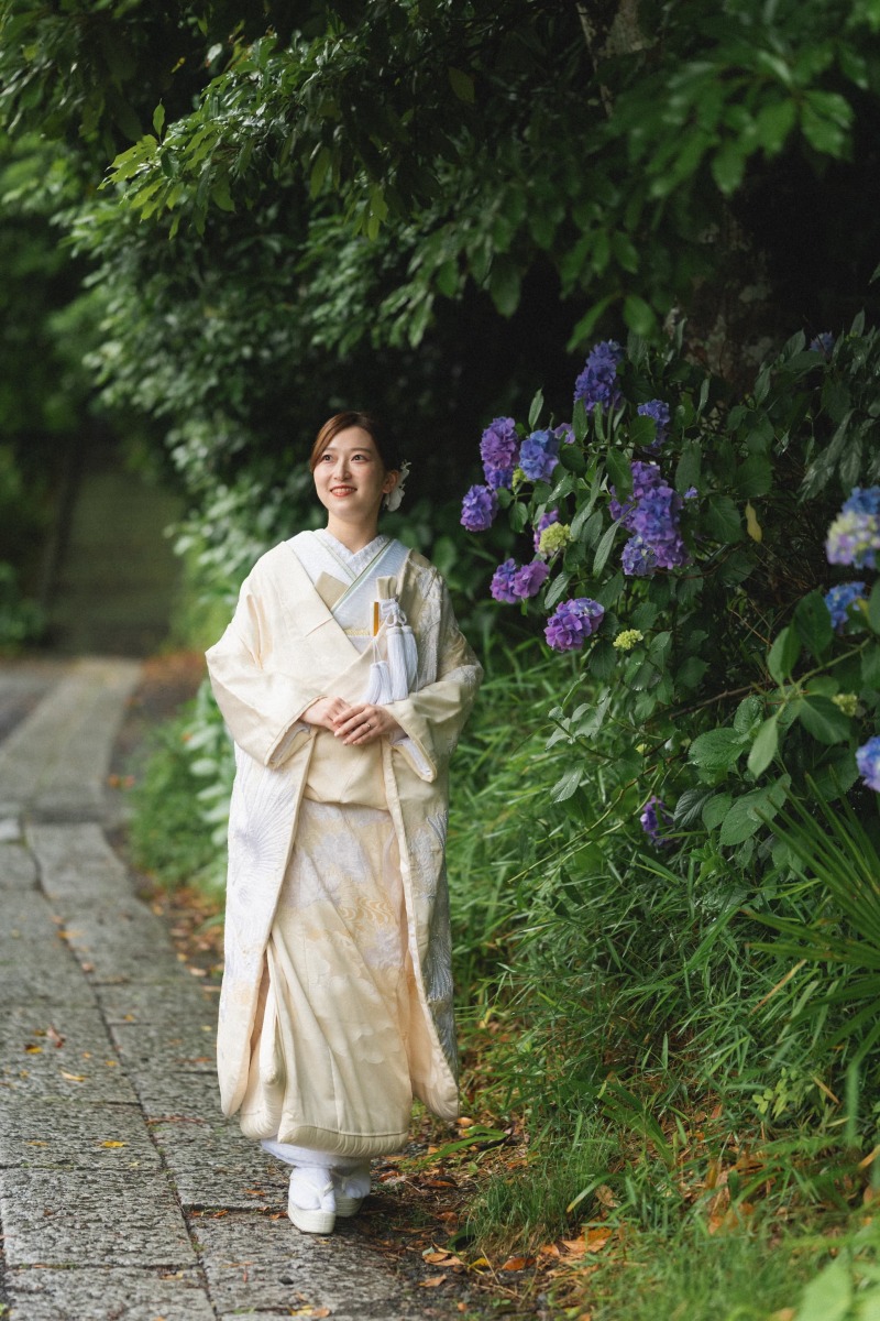 今を盛りに咲き誇る紫陽花(あじさい)