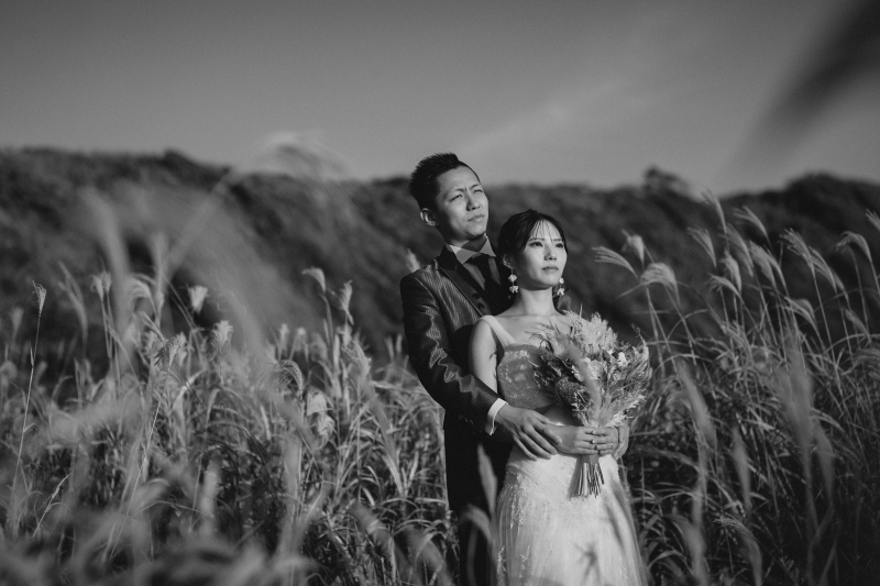 海側と反対の景色