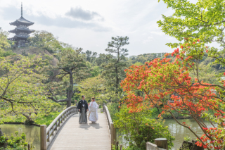 三渓園和装撮影