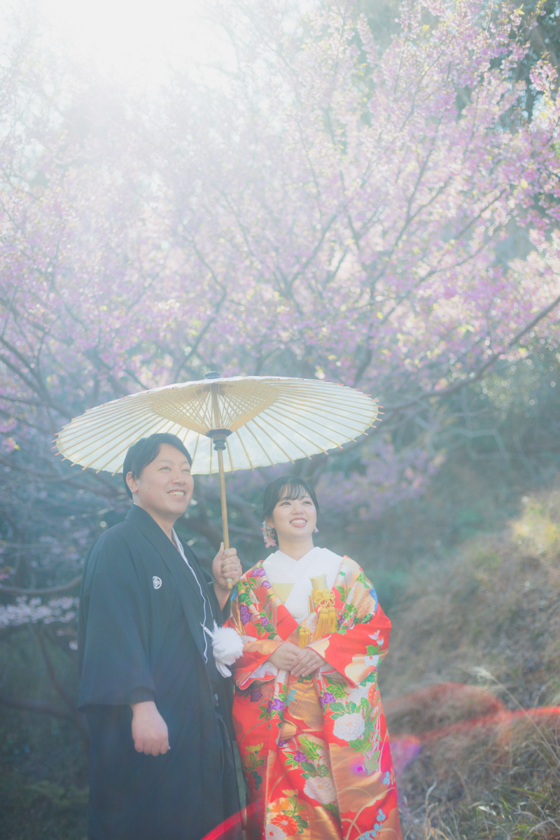 【柔らかな光が降り注ぐ、春の昼下がり】