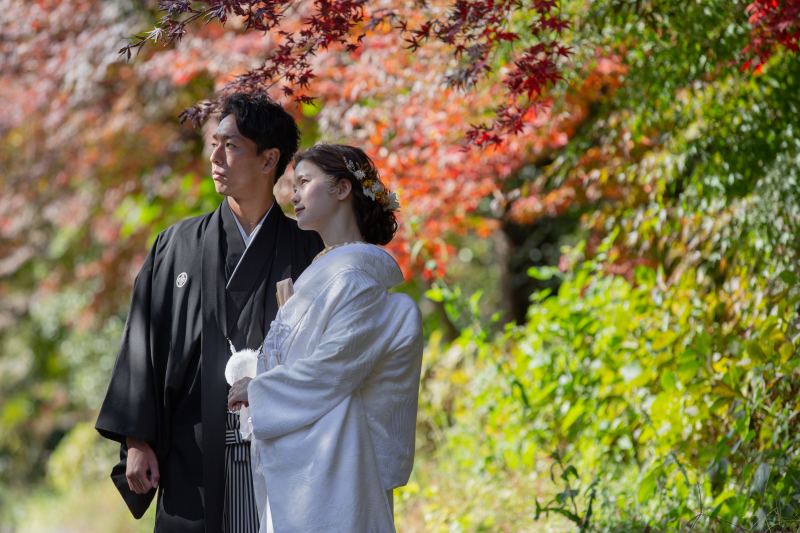 富士を彩る紅葉スポット