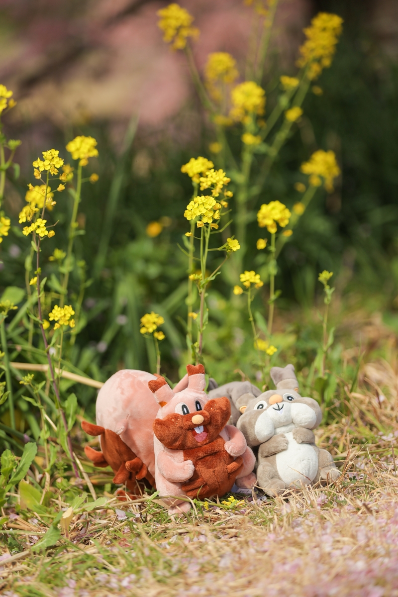 野生の○○が現れた!