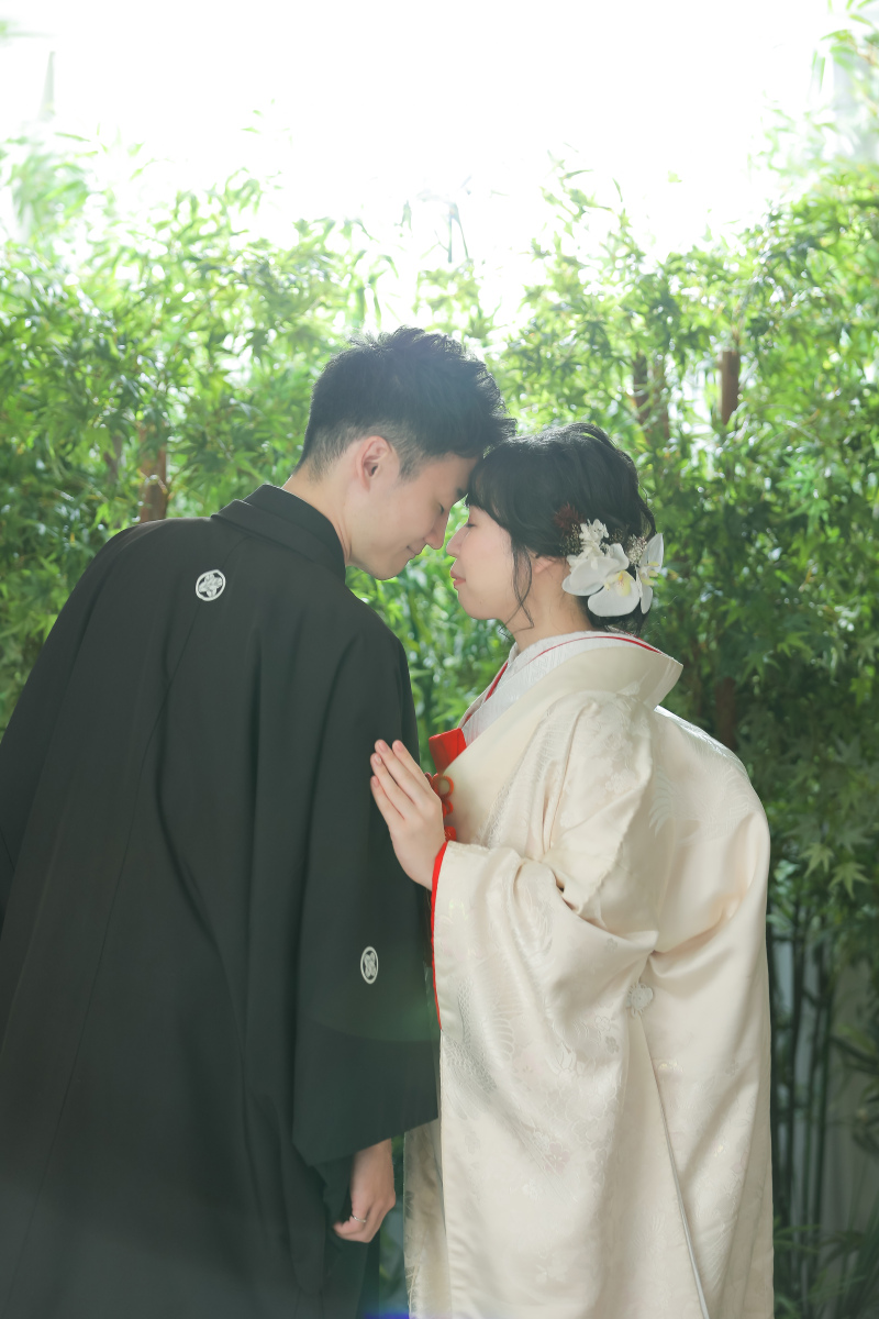 竹林の木漏れ日