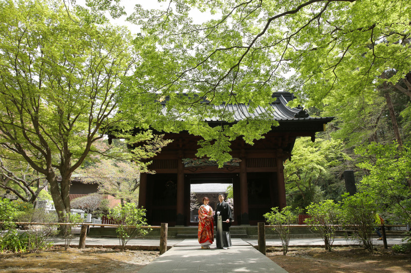 新緑が始まります