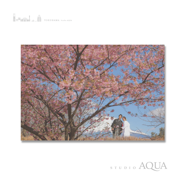 河津桜と富士山