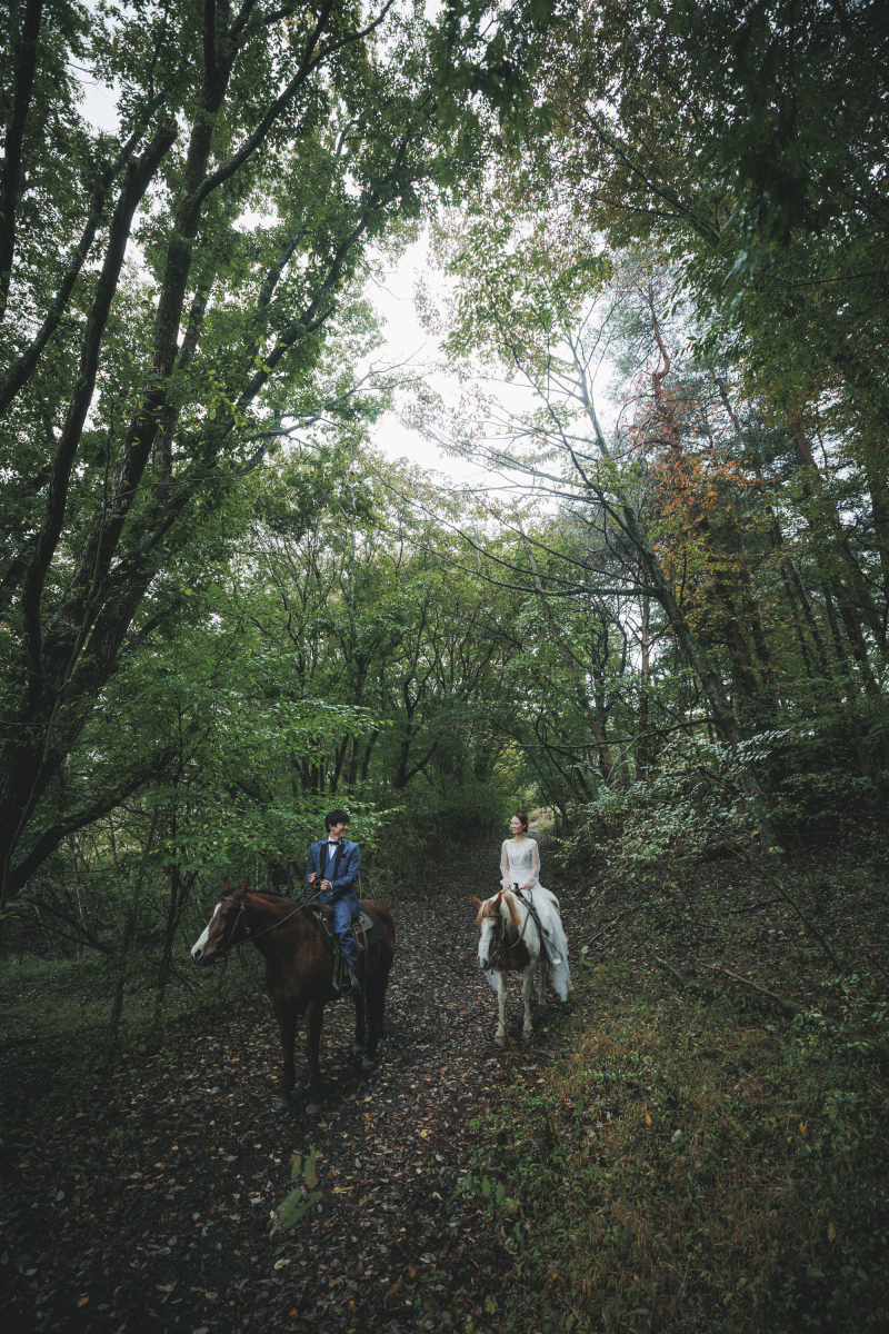 森の中を散歩するように