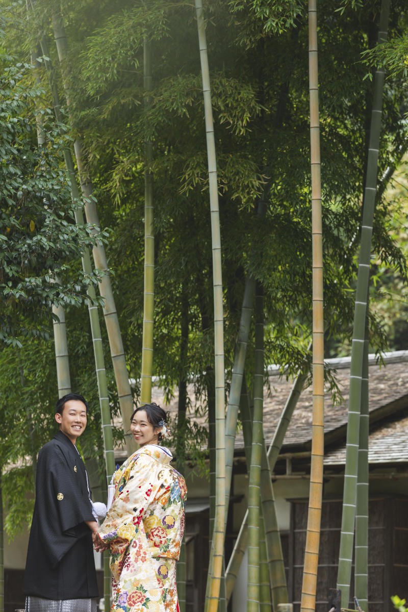 背の高い竹林にて♪