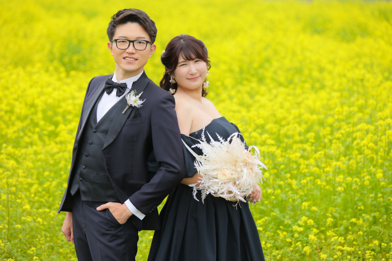 canola flowers