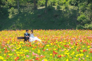 洋装ロケーション〜ドイツ村〜