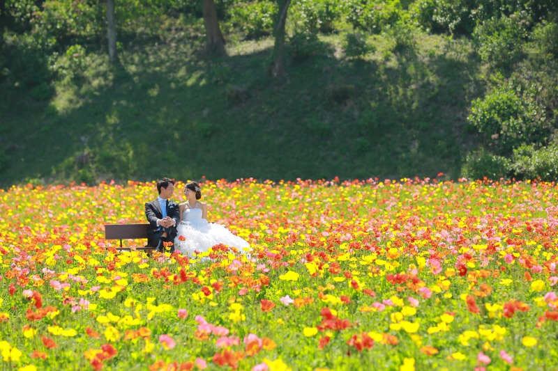 洋装ロケーション〜ドイツ村〜