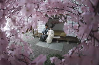 屋内庭園プラン！