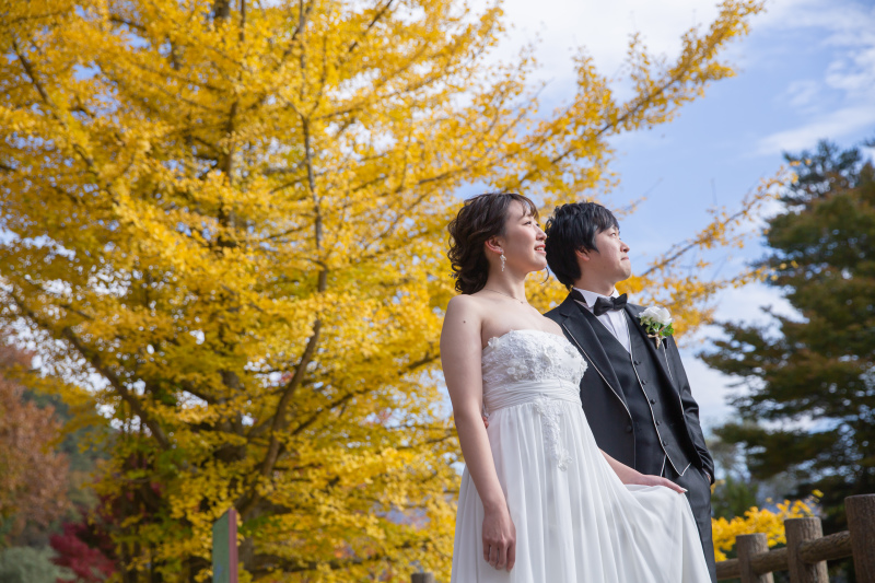 銀杏も、美しく。