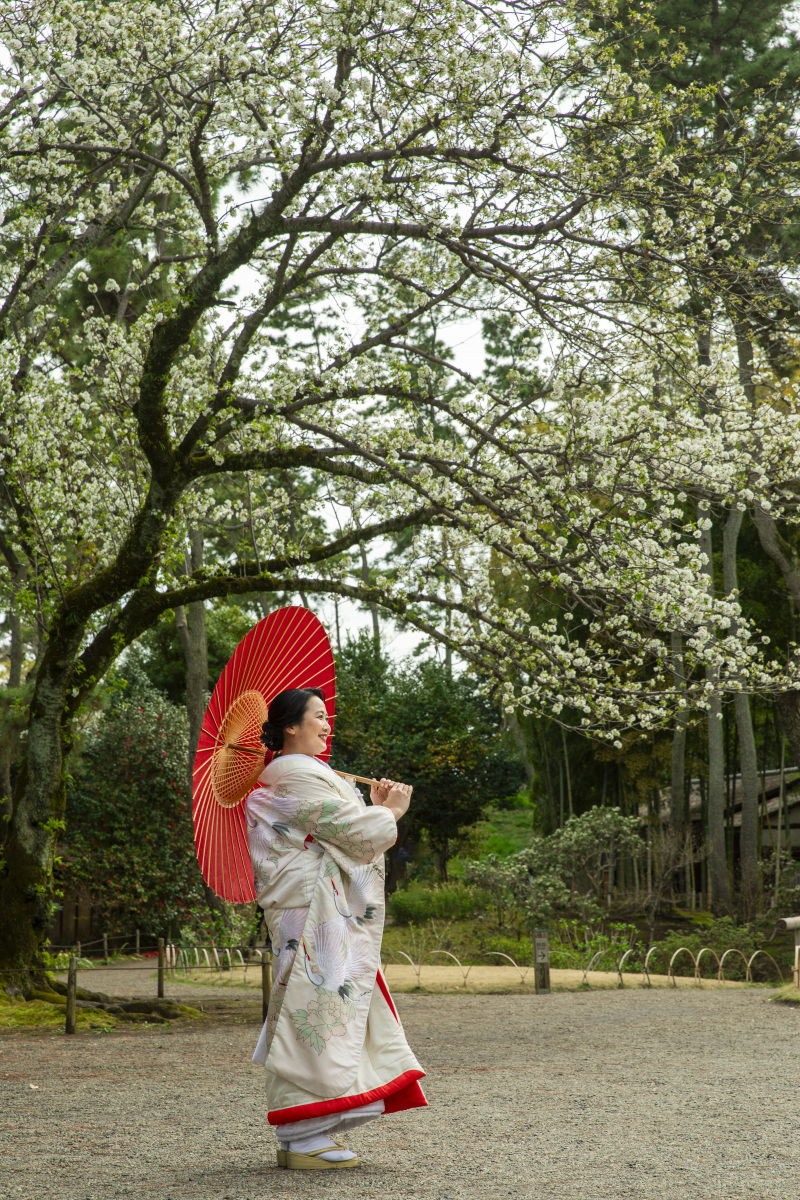 新婦様ソロショット