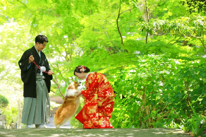 ワンちゃんと一緒に鎌倉和装ロケ