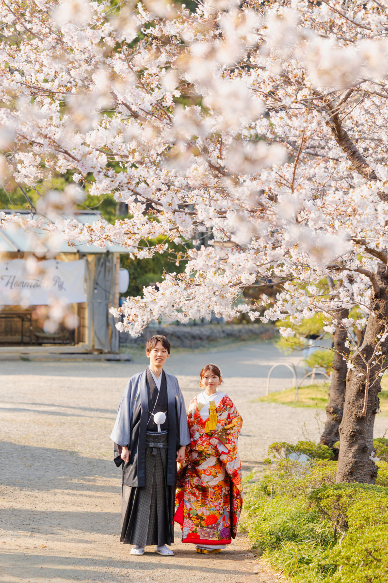 桜並木を歩く、ふたりの足跡