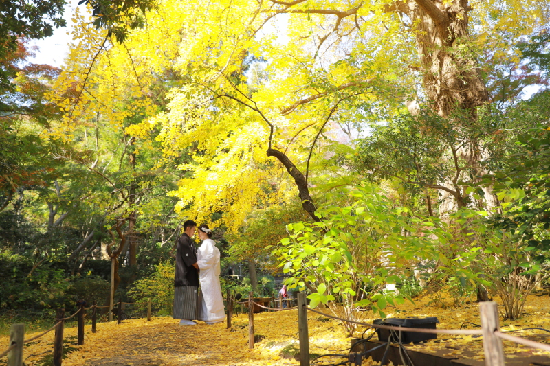 秋らしい背景と共に！