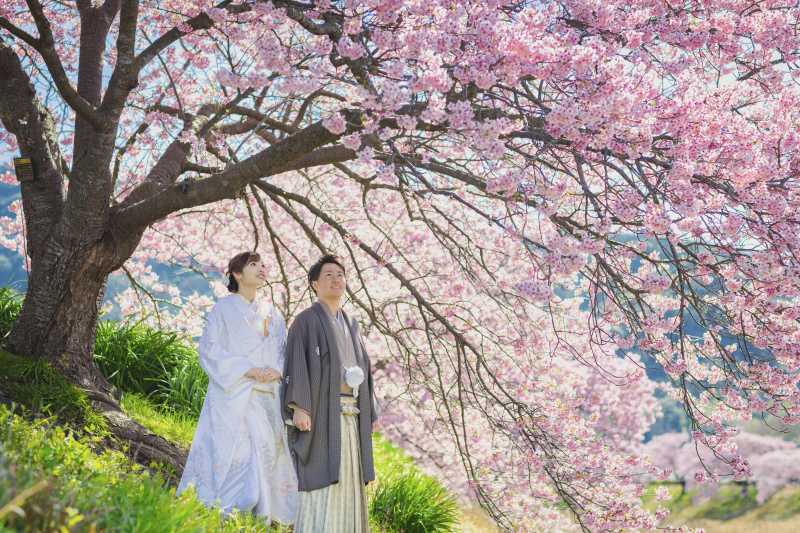 春先どりの景色におふたりもうっとり