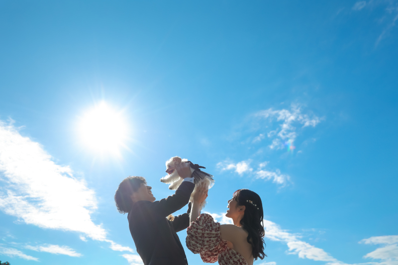 高いたか〜〜い