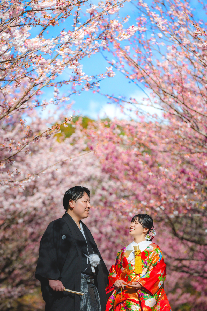 【満開の桜のアーチで交わす微笑み】