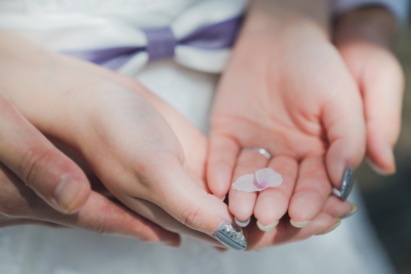 桜の花びらと一緒に