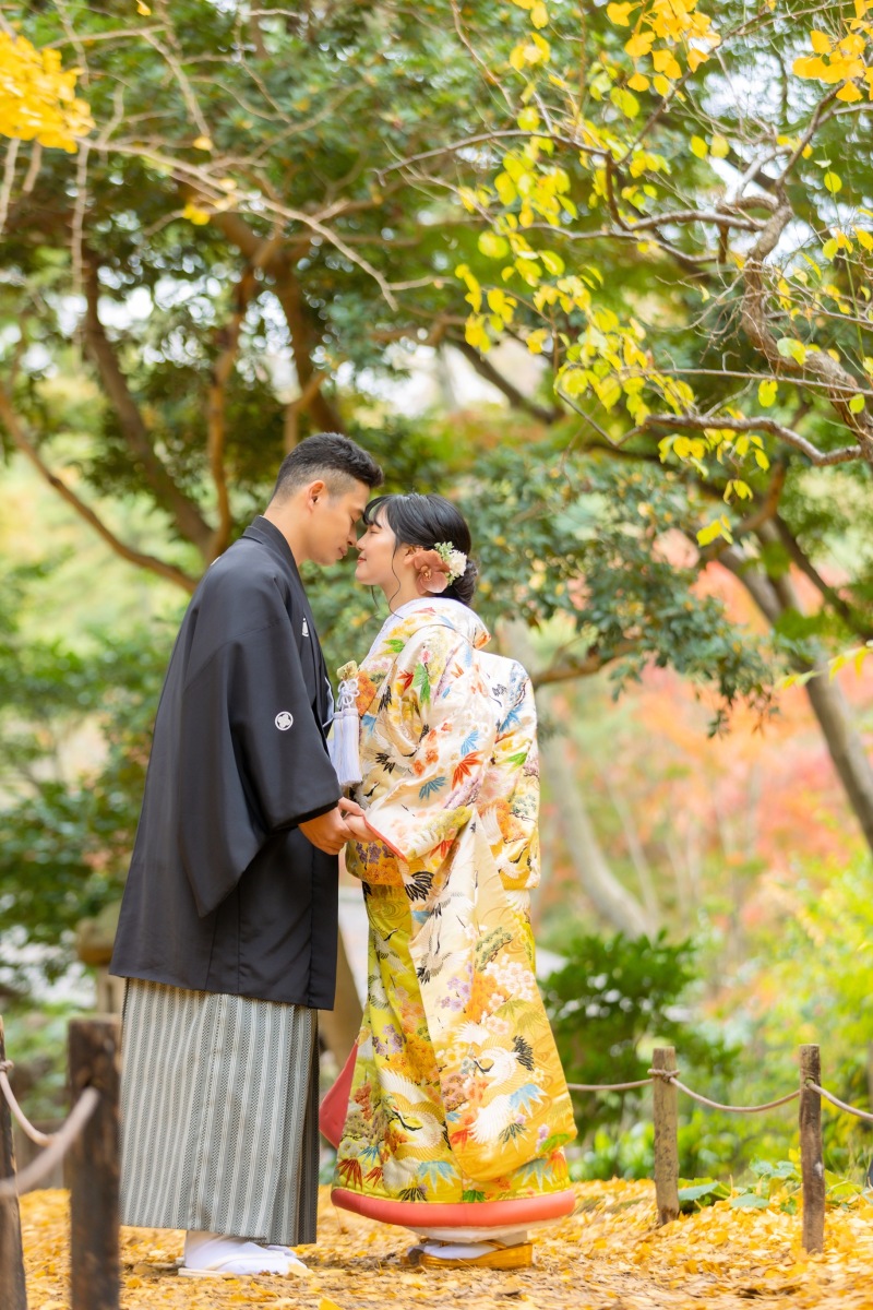 イチョウ（黄）