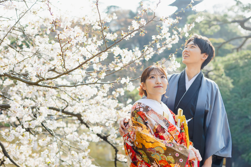 桜の下で、ふたりだけの時間