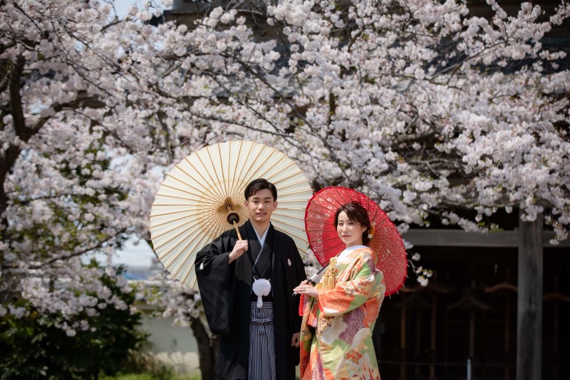 桜の時期の爽やかな天気