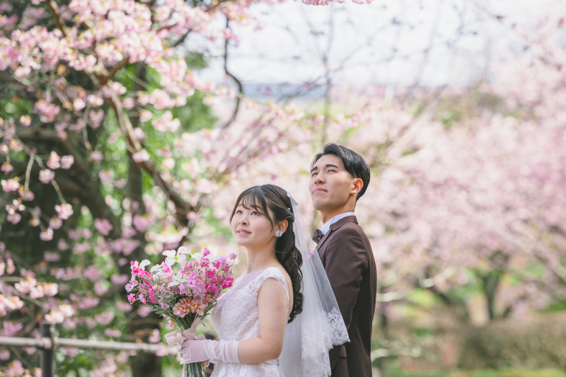 春の空を見上げて