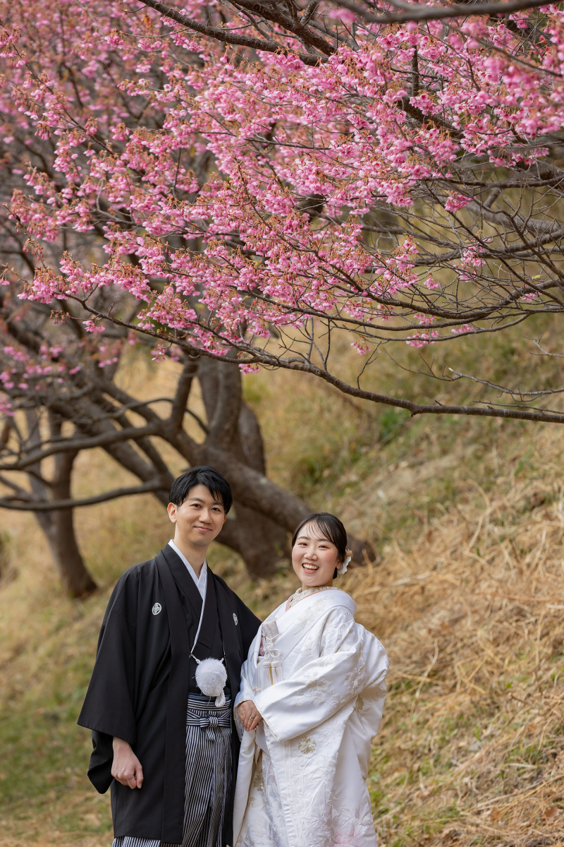 思い出のエリアで