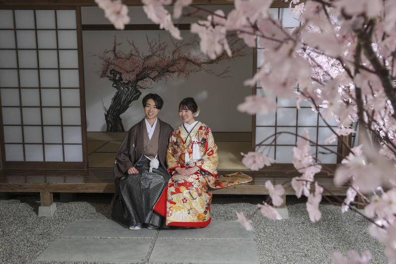 今年の桜はどうかな？