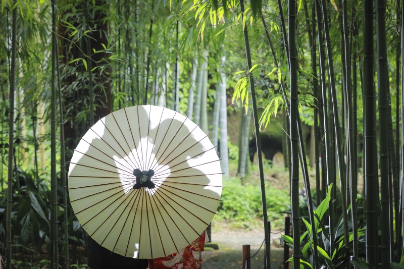 和傘を生かしたカット