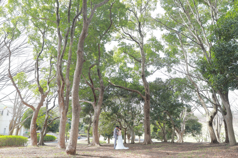 根岸森林公園の魅力が詰まった一枚