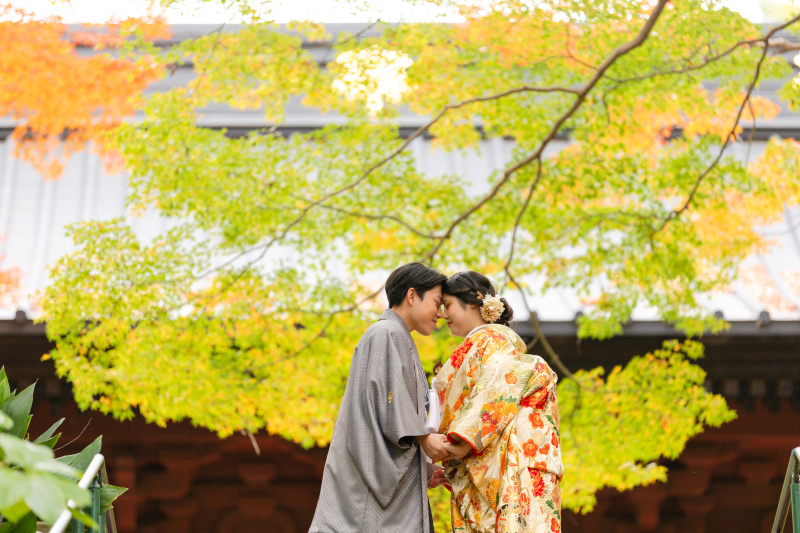 パステルカラーの紅葉