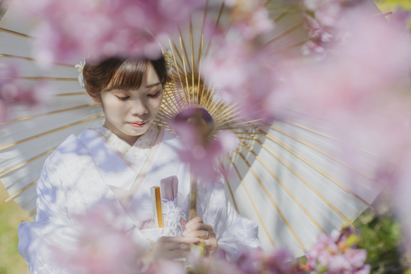 ピンクの桜がかわいい♡