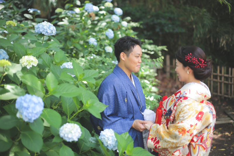 紫陽花シーズン到来