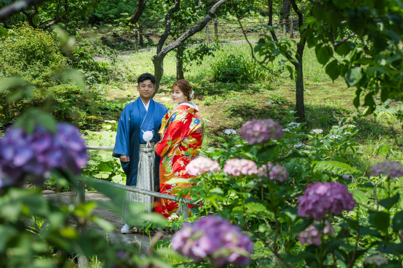 紫陽花と一緒に