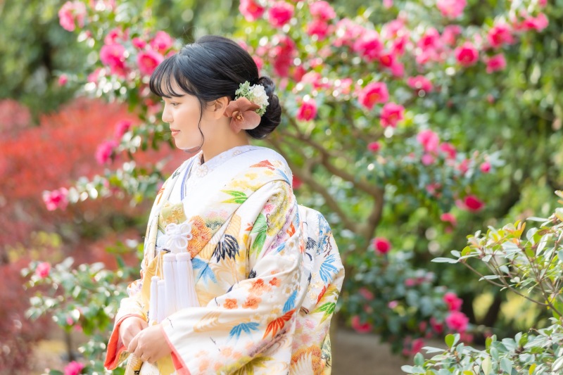 サザンカ（ピンク）