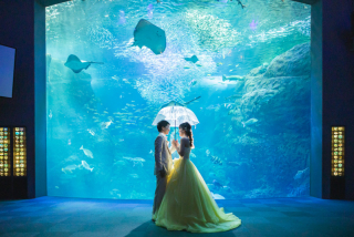 新江ノ島水族館撮影！