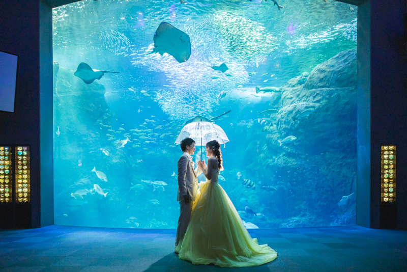 新江ノ島水族館撮影！