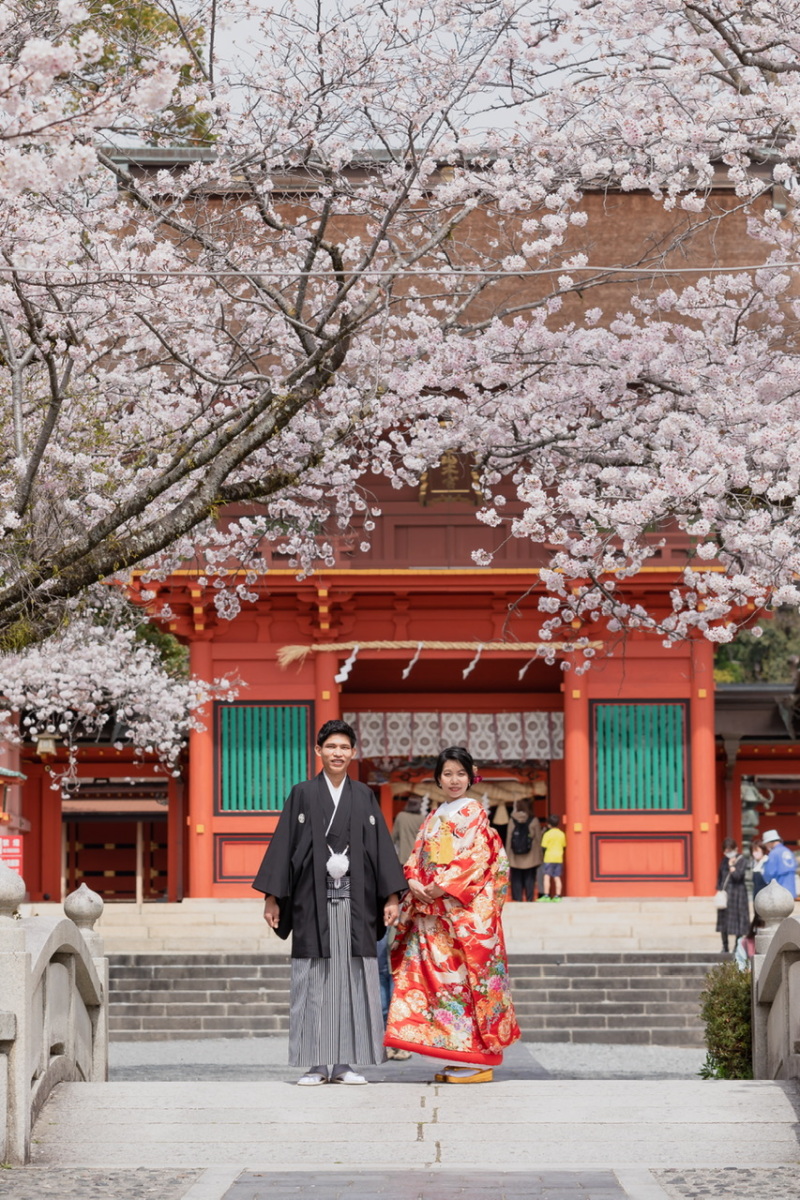 桜のアーチが美しい